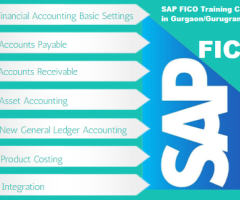 SAP FICO Course in Delhi,  SAP s/4 Hana Finance Certification